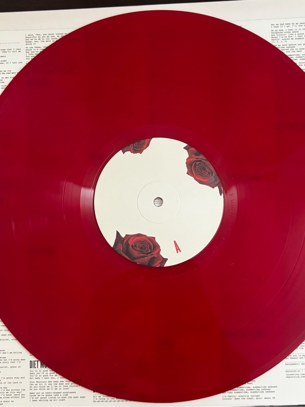Lana Del Rey Vinyl - Picture 3 of 4